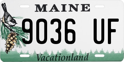 ME license plate 9036UF