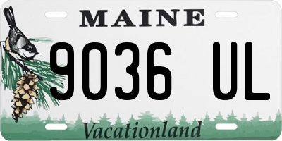 ME license plate 9036UL