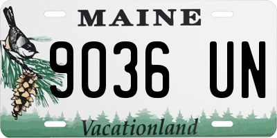 ME license plate 9036UN
