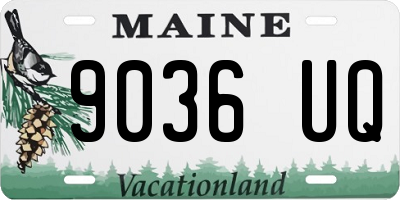 ME license plate 9036UQ