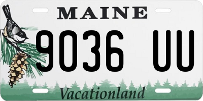 ME license plate 9036UU