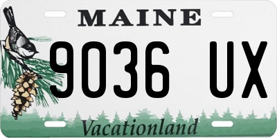 ME license plate 9036UX