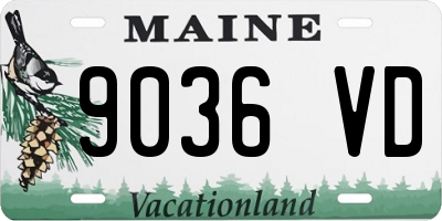 ME license plate 9036VD