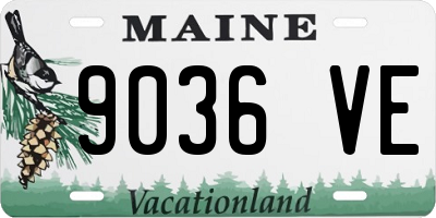 ME license plate 9036VE