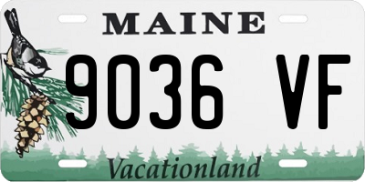 ME license plate 9036VF