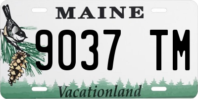 ME license plate 9037TM