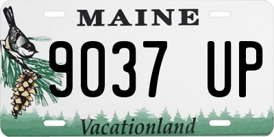 ME license plate 9037UP