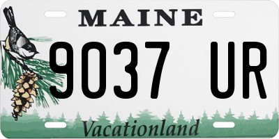 ME license plate 9037UR