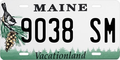 ME license plate 9038SM