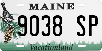 ME license plate 9038SP