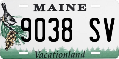 ME license plate 9038SV