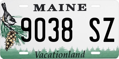 ME license plate 9038SZ