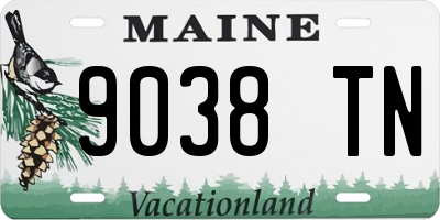 ME license plate 9038TN