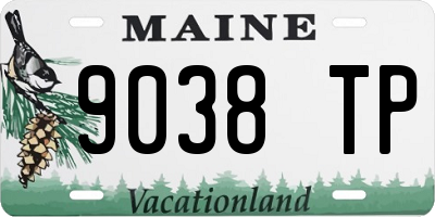 ME license plate 9038TP