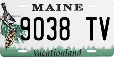 ME license plate 9038TV