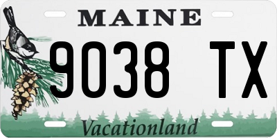 ME license plate 9038TX