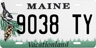 ME license plate 9038TY