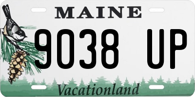 ME license plate 9038UP