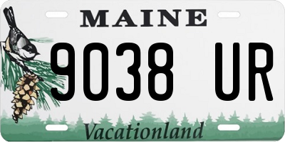 ME license plate 9038UR