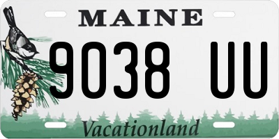 ME license plate 9038UU