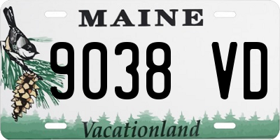 ME license plate 9038VD