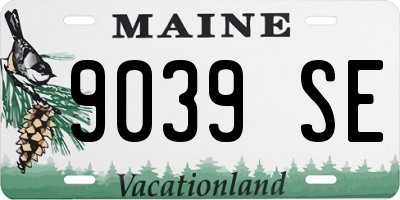 ME license plate 9039SE