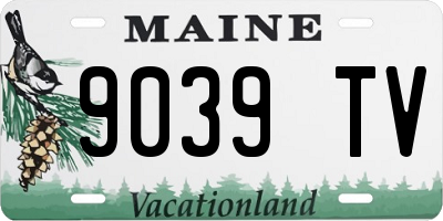 ME license plate 9039TV