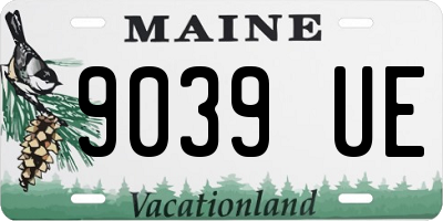 ME license plate 9039UE