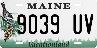 ME license plate 9039UV