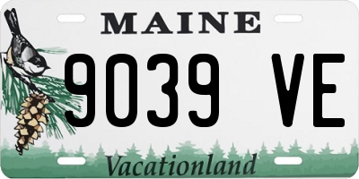 ME license plate 9039VE