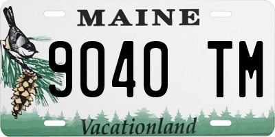 ME license plate 9040TM