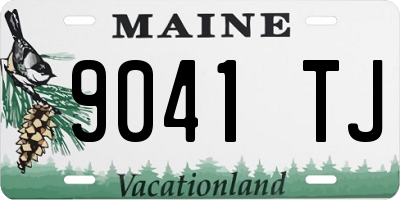 ME license plate 9041TJ