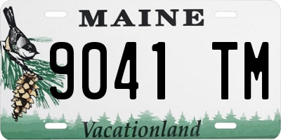 ME license plate 9041TM