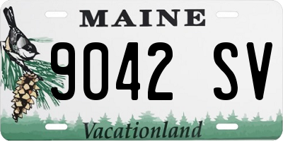 ME license plate 9042SV