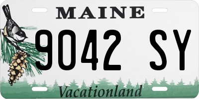 ME license plate 9042SY