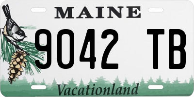 ME license plate 9042TB