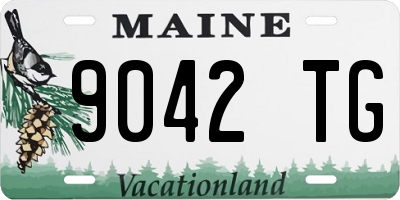 ME license plate 9042TG