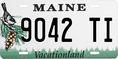 ME license plate 9042TI