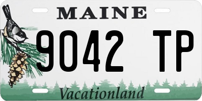 ME license plate 9042TP