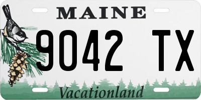 ME license plate 9042TX