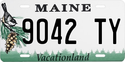 ME license plate 9042TY