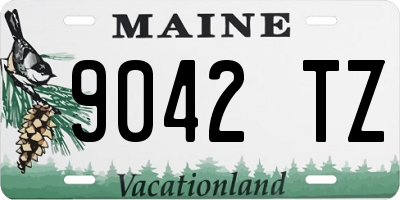 ME license plate 9042TZ