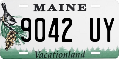 ME license plate 9042UY