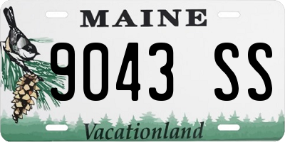 ME license plate 9043SS