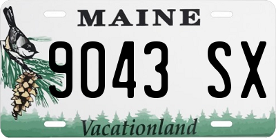 ME license plate 9043SX