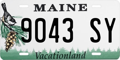 ME license plate 9043SY