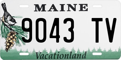 ME license plate 9043TV