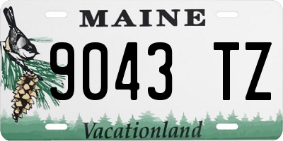 ME license plate 9043TZ