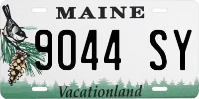 ME license plate 9044SY