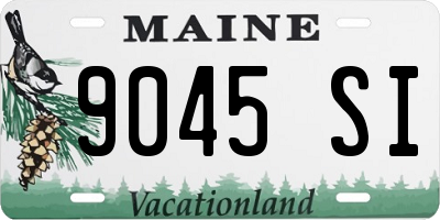 ME license plate 9045SI
